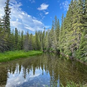 Meet your Posher, Mandy